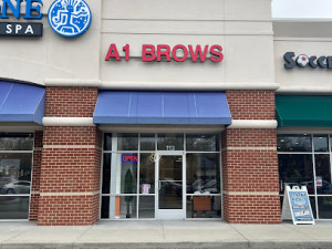 A1 Brows