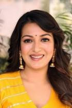 Waltair Veerayya Movie