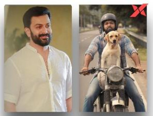Prithviraj Sukumaran to present 777 Charlie in Malayalam