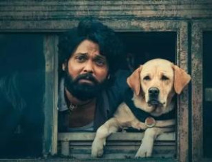 777 Charlie Box Office Collections: Rakshit Shetty’s Heartwarming Movie Is A Run-Away Hit