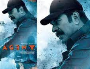 Everything Is Okay Here, Language Doesn't Matter; Mammootty's Telugu Dubbing Video Of Agent Out