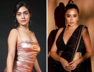 Bigg Boss 16: Did Tina Datta And Sreejita De Resolve Their Long-Standing Differences? 