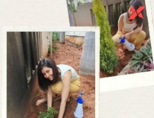 Raashi Khanna participates in the Green Indian Challenge; further nominates Rakul Preet Singh, Kajal Aggarwal and Tamannaah