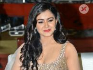 Malavika Sharma at Nela Ticket Movie Audio Launch