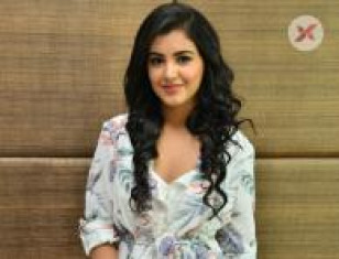 Malavika Sharma at Nela Ticket Movie Press Meet