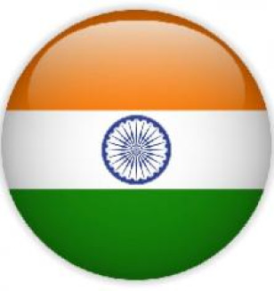 Hindi - Cricket