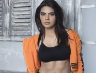 Bollywood actress and model sherlyn chopra is all set to rule the internet