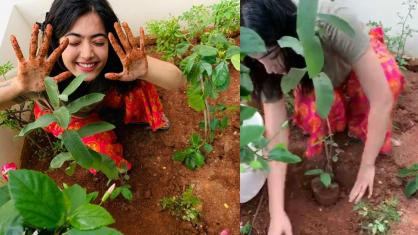 Rashmika Mandanna Accepts Green India Challenge by Samantha