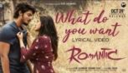What Do You Want Lyrical Song From Romantic Movie - Akash Puri, Ketika Sharma