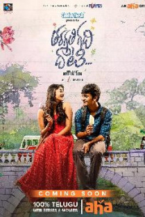 Tharagathi Gadhi Daati Web Series Review