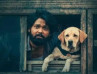 777 Charlie Box Office Collections: Rakshit Shetty’s Heartwarming Movie Is A Run-Away Hit
