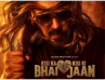 Did Salaman Khan Pass The Monday Test? Kisi Ka Bhai Kisi Ki Jaan Monday Box Office Collection Reports Out