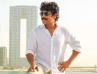 It's A Multistarrer For Nagarjuna!