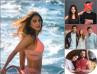 Vaani Kapoor to have three releases, Bell Bottom, Shamshera & Chandigarh Kare Aashiqui