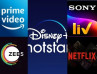 Netflix, Amazon Prime, Disney Hotstar, Zee5, Sony Liv, Who Has The Highest Subscriber Count In Indian OTT Market?