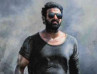 Young Rebel Star Prabhas's Salaar Update Released