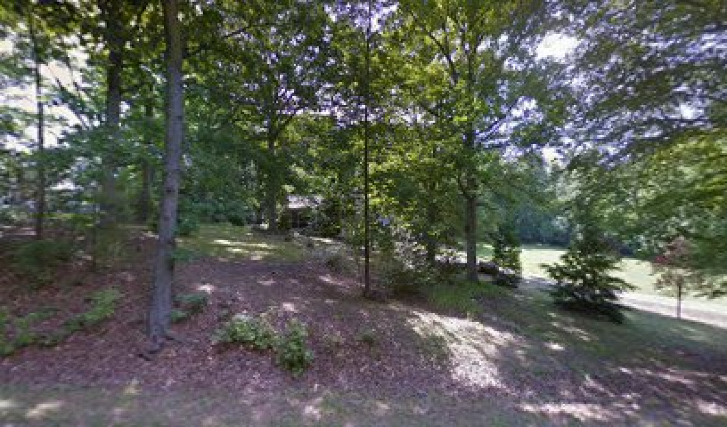 Realty Design Group, LLC