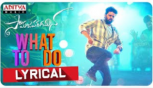 What To Do Lyrical Song -  Samajavaragamana, Sree Vishnu, Reba John, Ram Abbaraju, Gopi Sundar